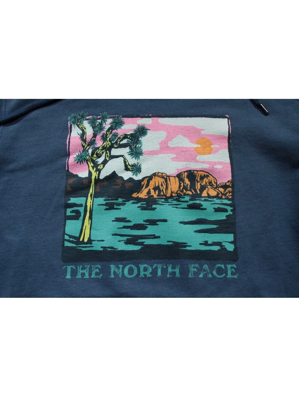 The North Face Joshua Tree Graphic Hooded Sweatshirt Hoodie L Men's Blue